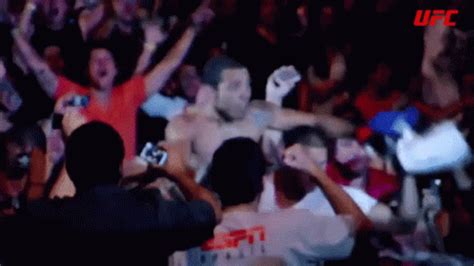 jose aldo nocaute gifs|Josejosealdo GIF .